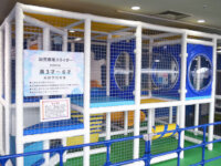 DWkidsspace02.jpg