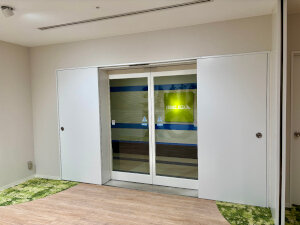 20250711_autodoor.jpg