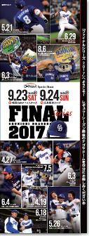 final_2017_leaflet.png