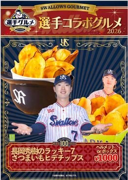 hidechips.jpg